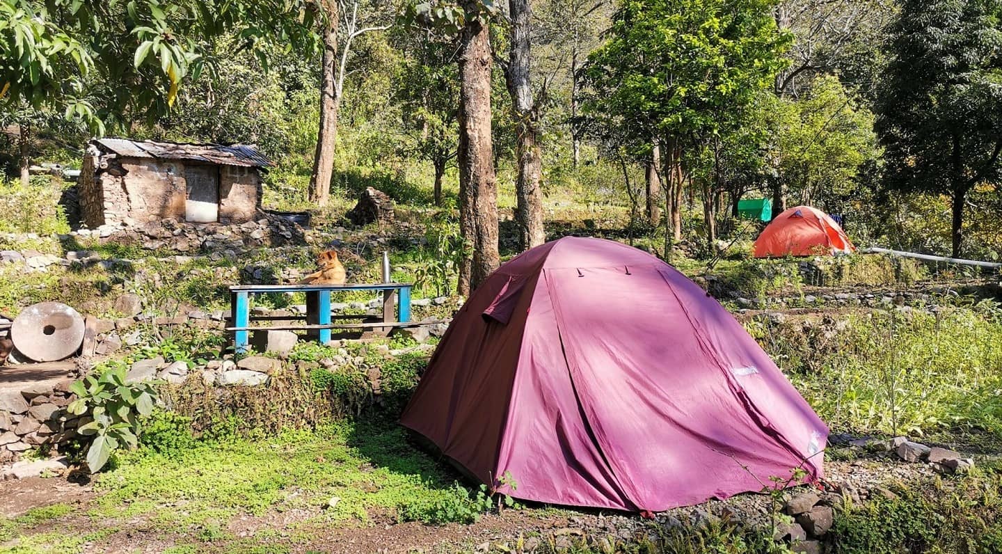 Camping Risihkesh